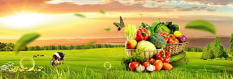 Picture for category Dairy